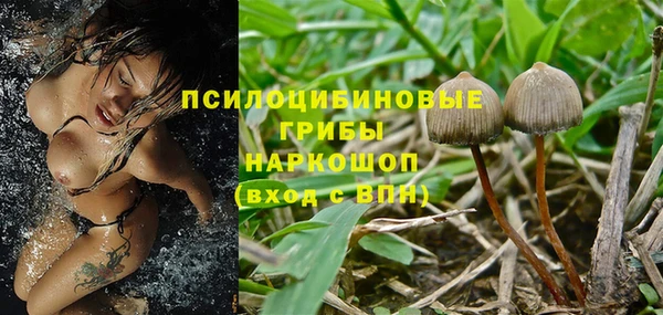PSILOCYBIN Абдулино