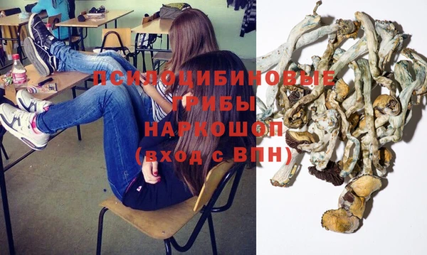 гидра Алзамай